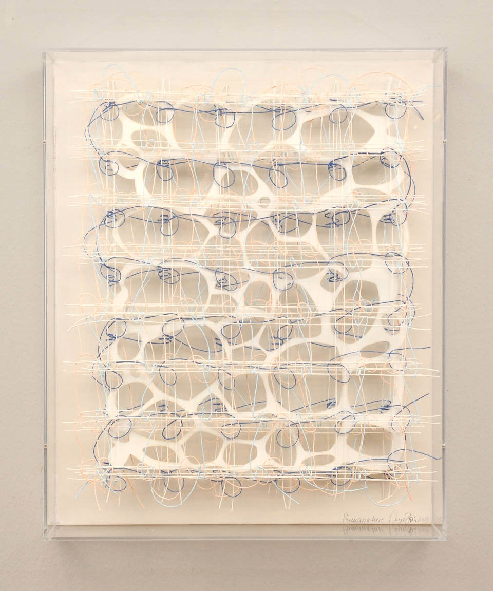 Galerie RIECK - Anne Bjørn_Humanature II_Wand