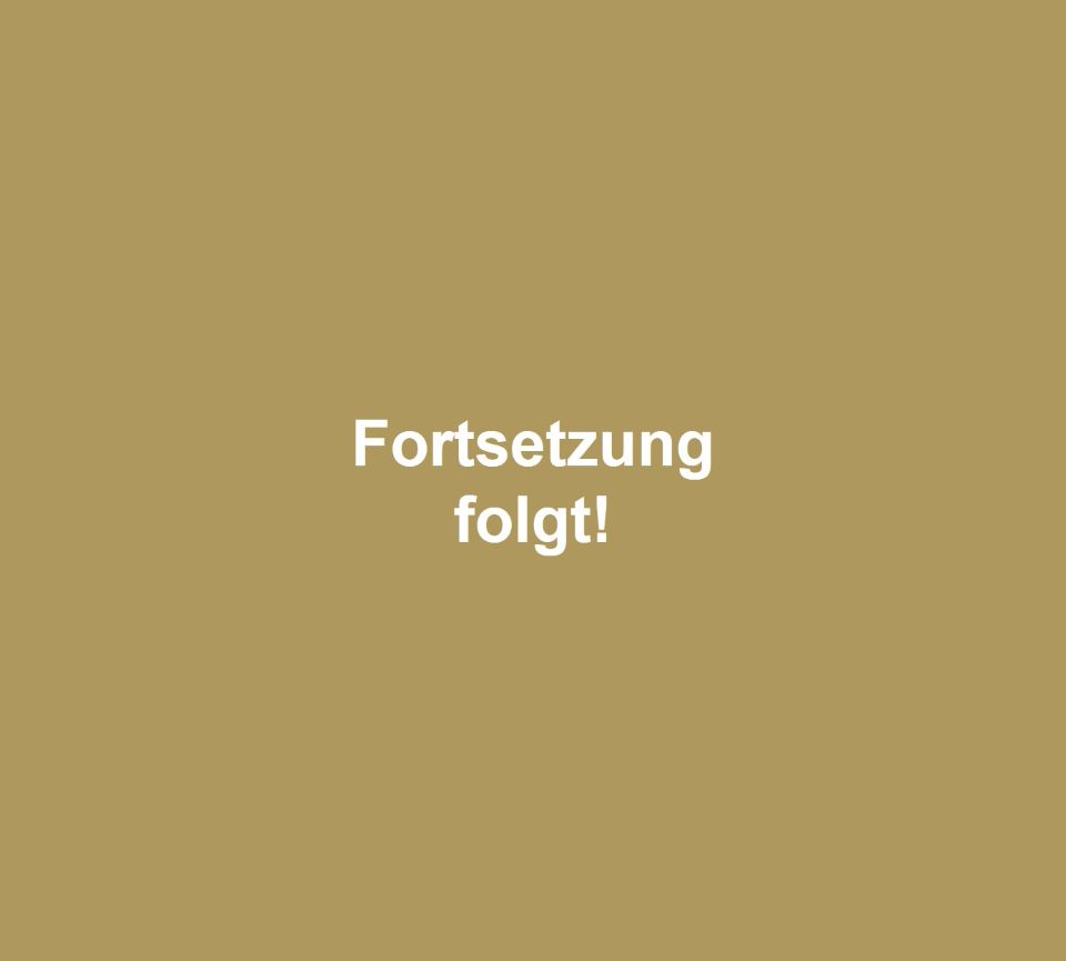 Galerie RIECK - Fortsetzung folgt!